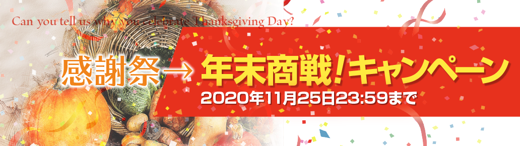 感謝祭→年末商戦!キャンペーン2020年11月25日23:59まで