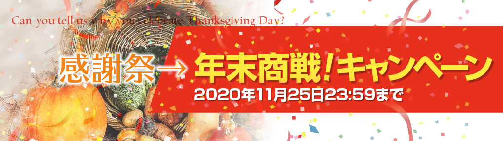 感謝祭→年末商戦！キャンペーン2020年11月25日23:59まで